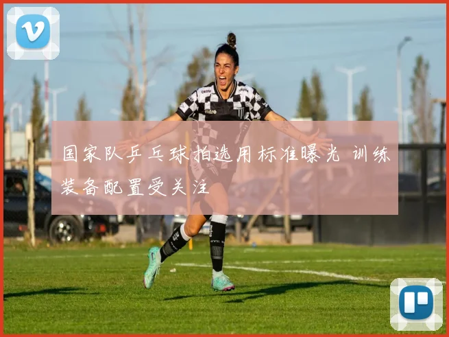 国家队乒乓球拍选用标准曝光 训练装备配置受关注