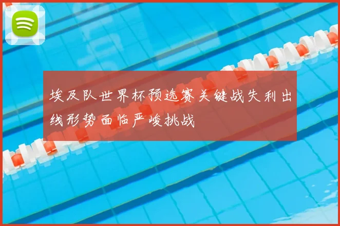 埃及队世界杯预选赛关键战失利出线形势面临严峻挑战