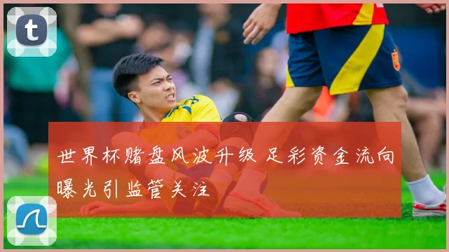 世界杯赌盘风波升级 足彩资金流向曝光引监管关注