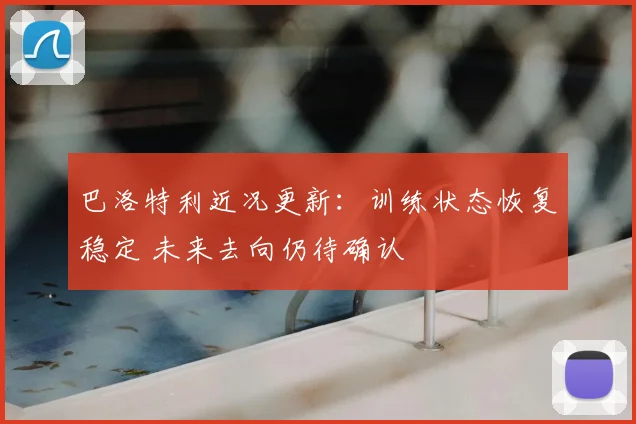 巴洛特利近况更新：训练状态恢复稳定 未来去向仍待确认