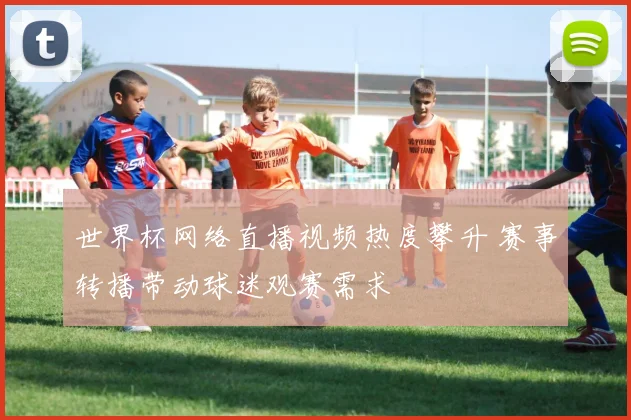 世界杯网络直播视频热度攀升 赛事转播带动球迷观赛需求