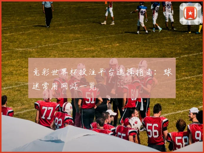 竞彩世界杯投注平台选择指南：球迷常用网站一览