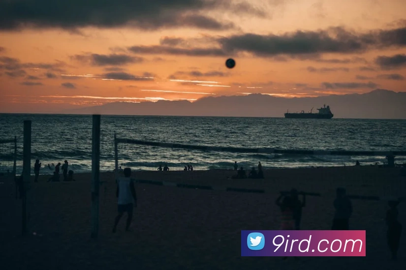 球盟体育官方网站平台生态图